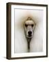 Mexico World Dog Show 2007-Eduardo Verdugo-Framed Photographic Print