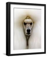 Mexico World Dog Show 2007-Eduardo Verdugo-Framed Photographic Print