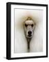 Mexico World Dog Show 2007-Eduardo Verdugo-Framed Photographic Print