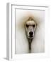 Mexico World Dog Show 2007-Eduardo Verdugo-Framed Photographic Print