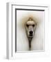 Mexico World Dog Show 2007-Eduardo Verdugo-Framed Photographic Print