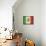 Mexico-David Bowman-Giclee Print displayed on a wall