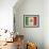 Mexico-David Bowman-Framed Premium Giclee Print displayed on a wall