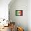 Mexico-David Bowman-Framed Stretched Canvas displayed on a wall