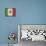 Mexico-David Bowman-Stretched Canvas displayed on a wall