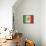 Mexico-David Bowman-Stretched Canvas displayed on a wall