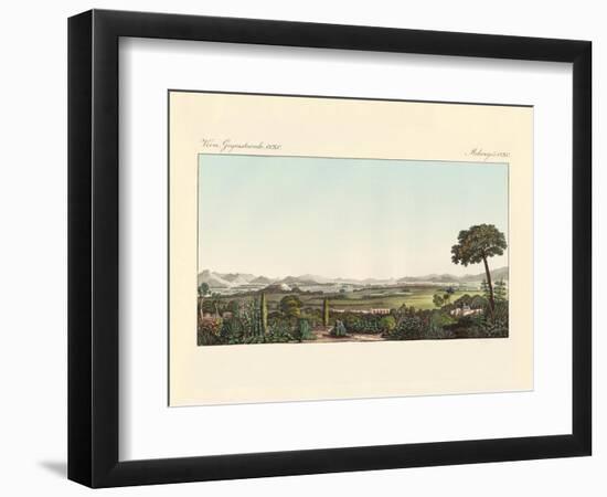 Mexico-null-Framed Giclee Print