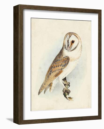 Meyer Barn Owl-H. l. Meyer-Framed Art Print