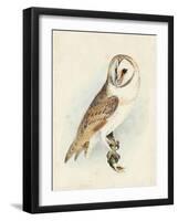 Meyer Barn Owl-H. l. Meyer-Framed Art Print