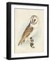 Meyer Barn Owl-H. l. Meyer-Framed Art Print