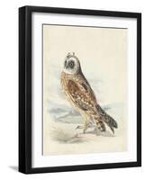 Meyer Hawk Owl-H. l. Meyer-Framed Art Print