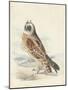 Meyer Hawk Owl-H. l. Meyer-Mounted Art Print