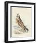 Meyer Hawk Owl-H. l. Meyer-Framed Art Print