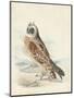 Meyer Hawk Owl-H. l. Meyer-Mounted Art Print