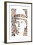 Meyer Lansky-Cristian Mielu-Framed Art Print