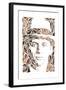 Meyer Lansky-Cristian Mielu-Framed Art Print