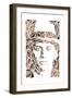 Meyer Lansky-Cristian Mielu-Framed Art Print