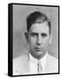 Meyer Lansky-null-Framed Stretched Canvas