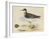 Meyer Shorebirds II-H. l. Meyer-Framed Art Print