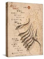 Mezashi to Tatamiiwashi-Teisai Hokuba-Stretched Canvas