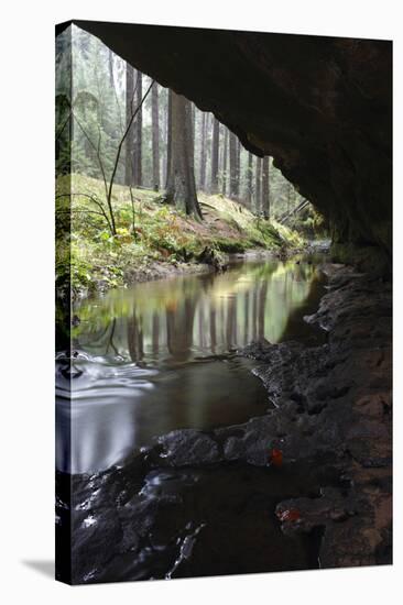 Mezni Potok Stream Flowing under a Rock, Ceske Svycarsko - Bohemian Switzerland Np, Czech Republic-Ruiz-Stretched Canvas