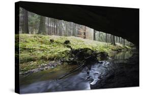 Mezni Potok - Stream Flowing under a Rock, Rynartice, Ceske Svycarsko, Czech Republic, November-Ruiz-Stretched Canvas