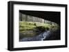 Mezni Potok - Stream Flowing under a Rock, Rynartice, Ceske Svycarsko, Czech Republic, November-Ruiz-Framed Photographic Print