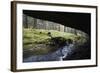 Mezni Potok - Stream Flowing under a Rock, Rynartice, Ceske Svycarsko, Czech Republic, November-Ruiz-Framed Photographic Print