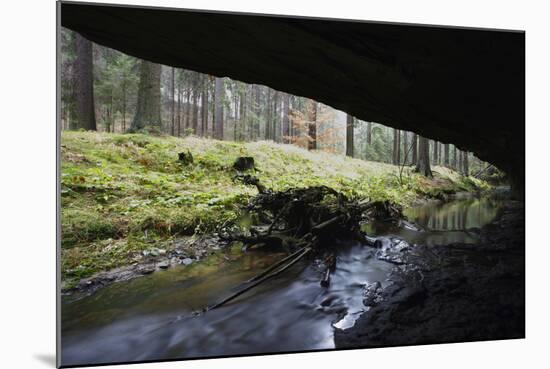 Mezni Potok - Stream Flowing under a Rock, Rynartice, Ceske Svycarsko, Czech Republic, November-Ruiz-Mounted Photographic Print