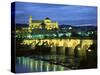 Mezquita (Cathedral) and Puente Romano (Roman Bridge), Cordoba, Andalucia (Andalusia), Spain-Colin Brynn-Stretched Canvas