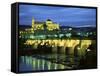 Mezquita (Cathedral) and Puente Romano (Roman Bridge), Cordoba, Andalucia (Andalusia), Spain-Colin Brynn-Framed Stretched Canvas