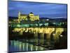 Mezquita (Cathedral) and Puente Romano (Roman Bridge), Cordoba, Andalucia (Andalusia), Spain-Colin Brynn-Mounted Photographic Print