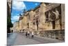 Mezquita Mosque Cathedral, UNESCO World Heritage Site, Cordoba, Andalusia, Spain, Europe-Ethel Davies-Mounted Photographic Print