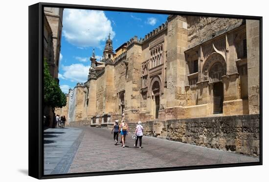 Mezquita Mosque Cathedral, UNESCO World Heritage Site, Cordoba, Andalusia, Spain, Europe-Ethel Davies-Framed Stretched Canvas