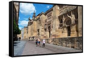 Mezquita Mosque Cathedral, UNESCO World Heritage Site, Cordoba, Andalusia, Spain, Europe-Ethel Davies-Framed Stretched Canvas