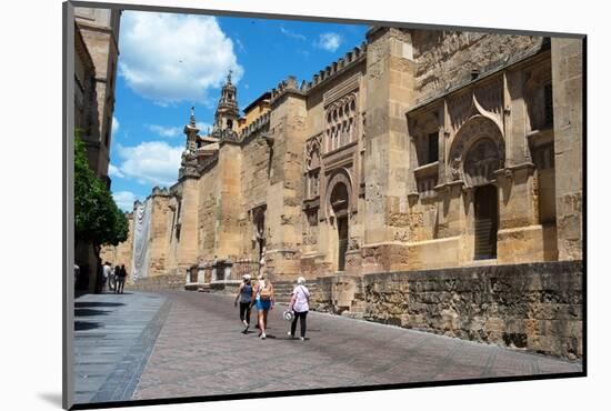 Mezquita Mosque Cathedral, UNESCO World Heritage Site, Cordoba, Andalusia, Spain, Europe-Ethel Davies-Mounted Photographic Print