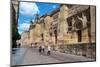 Mezquita Mosque Cathedral, UNESCO World Heritage Site, Cordoba, Andalusia, Spain, Europe-Ethel Davies-Mounted Photographic Print