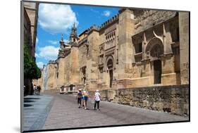 Mezquita Mosque Cathedral, UNESCO World Heritage Site, Cordoba, Andalusia, Spain, Europe-Ethel Davies-Mounted Photographic Print