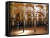 Mezquita, UNESCO World Heritage Site, Cordoba, Andalusia, Spain, Europe-Hans Peter Merten-Framed Stretched Canvas