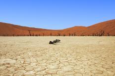 Dead Vlei Namibia-mezzotint-Photographic Print