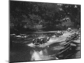 MG J2s of Kennneth and Doreen Evans, Mid Surrey AC Barnstaple Trial, Tarr Steps, Exmoor, 1934-Bill Brunell-Mounted Photographic Print