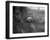 MG M Type of RR Balding competing in the MG Car Club Trial, Kimble Lane, Chilterns, 1931-Bill Brunell-Framed Photographic Print