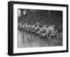 MG M types at the MCC Lands End Trial, Launceston, Cornwall, 1930-Bill Brunell-Framed Photographic Print