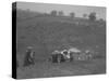 MG Magnette NA competing in the MG Car Club Rushmere Hillclimb, Shropshire, 1935-Bill Brunell-Stretched Canvas