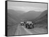 MG Magnette of WS Whittard and MG TA of Maurice Toulmin, MG Car Club Abingdon Trial/Rally, 1939-Bill Brunell-Framed Stretched Canvas