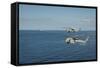 Mh-60R Sea Hawk Helicopters Launch Agm-114 Hellfire Missiles-null-Framed Stretched Canvas