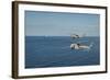 Mh-60R Sea Hawk Helicopters Launch Agm-114 Hellfire Missiles-null-Framed Photographic Print