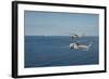 Mh-60R Sea Hawk Helicopters Launch Agm-114 Hellfire Missiles-null-Framed Photographic Print