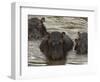 Mi Familia II-Art Wolfe-Framed Photographic Print