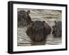 Mi Familia II-Art Wolfe-Framed Photographic Print